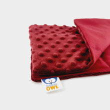 Charger l&#39;image dans la galerie, SOFT LAP PILLOW | SENSORY OWL